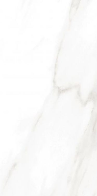 EC Calacatta Gold Matte 12 x 24